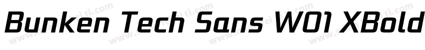 Bunken Tech Sans W01 XBoldIt Regular字体转换